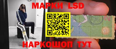 соль ск Будённовск