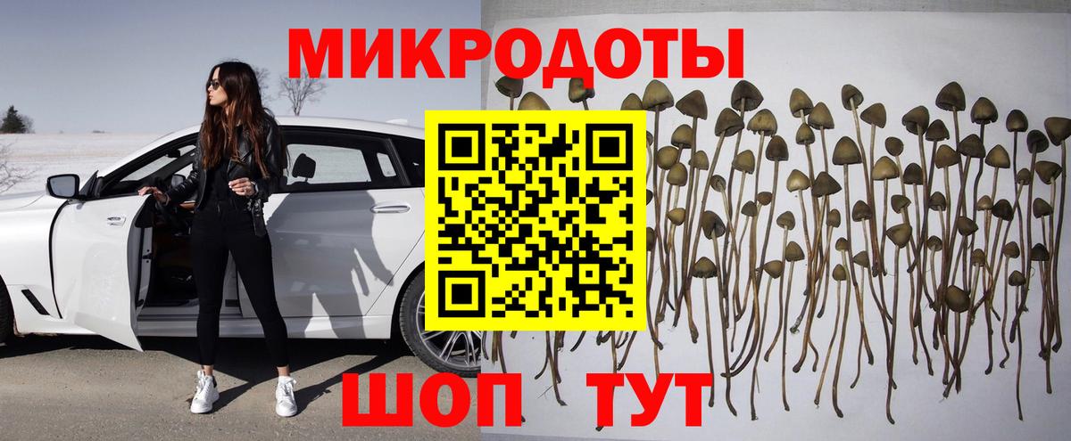 Стерлитамак  Галлюциногенные грибы Cubensis  Вход с VPN  Галлюциногенные грибы Magic Shrooms 