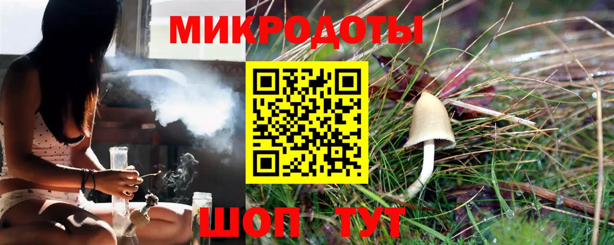 Псилоцибиновые грибы Psilocybine cubensis Стерлитамак